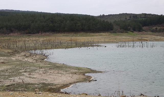 "Tekirdağ'da 50 Yıldır Böyle Kuraklık Yaşanmadı"