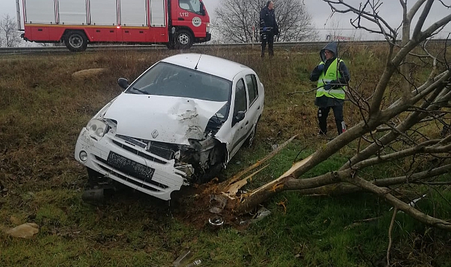 Yoldan Çıkan Araç Ağaca Çarparak Durabildi, 3 Yaralı