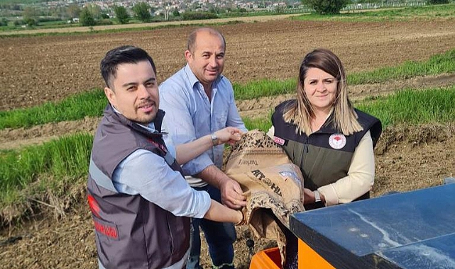 Yerli Hibrit Ayçiçeği Tohumları Toprakla Buluştu