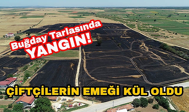 Buğday Tarlasında Yangın! Çiftçilerin Emeği Kül Oldu