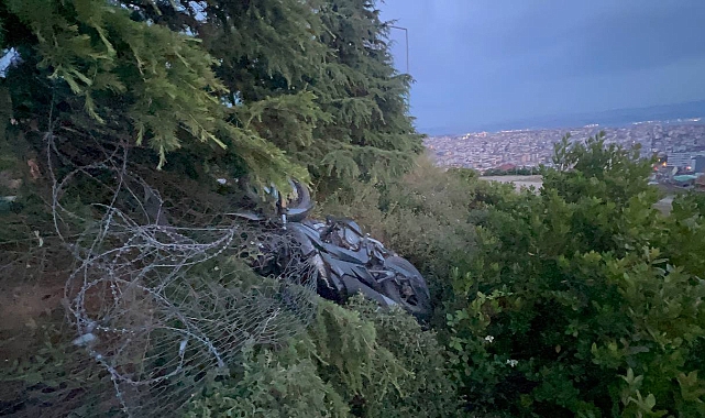 Kocaeli'de Motosiklet Ağaca Çarptı, 1 Yaralı