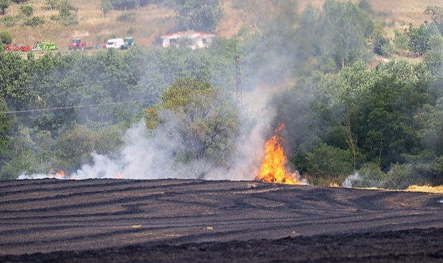 20 Günde 930 Dönüm Ekili Alan Yandı!