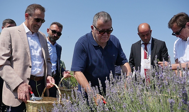 Balıkesir'de 4. Aromaterapi Festivali'nde Aromatik Bitki Hasadı Yapıldı