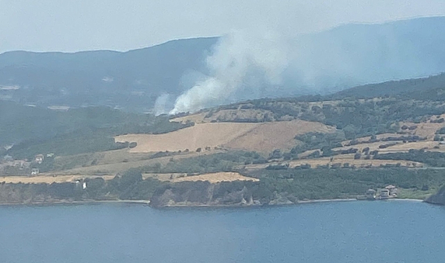 Çanakkale'de Çıkan Orman Yangınına Müdahale Ediliyor