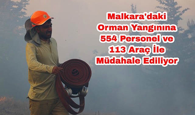 Malkara'daki Orman Yangınına 554 Personel ve 113 Araç İle Müdahale Ediliyor