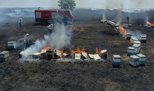 Tarlada Çıkan Yangın Arı Kovanlarına Sıçradı