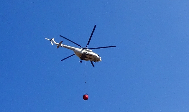 Bilecik&#039;te Orman Yangını