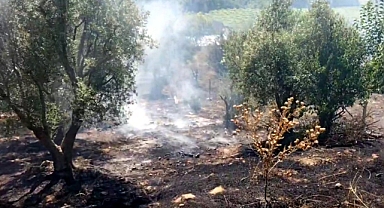 Geyve'de Otluk Alanda Çıkan Yangın Söndürüldü