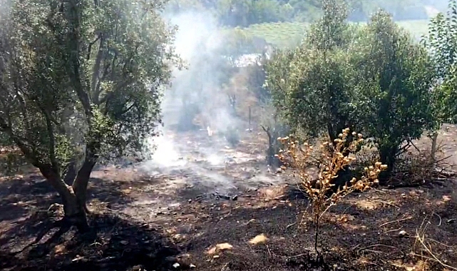 Geyve'de Otluk Alanda Çıkan Yangın Söndürüldü