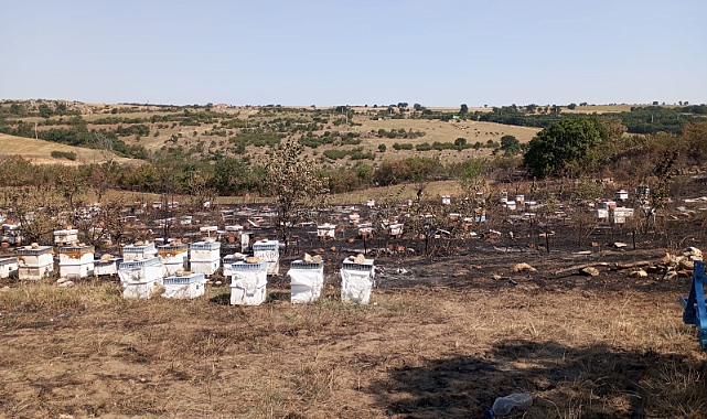 Ormanlık Alanda Çıkan Yangın Söndürüldü