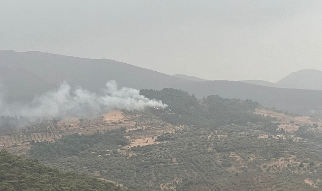 Balıkesir'de Ormanlık Alana Düşen Yıldırım Yangın Çıkardı