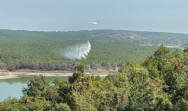 Çatalca'da Ormanlık Alanda Yangın