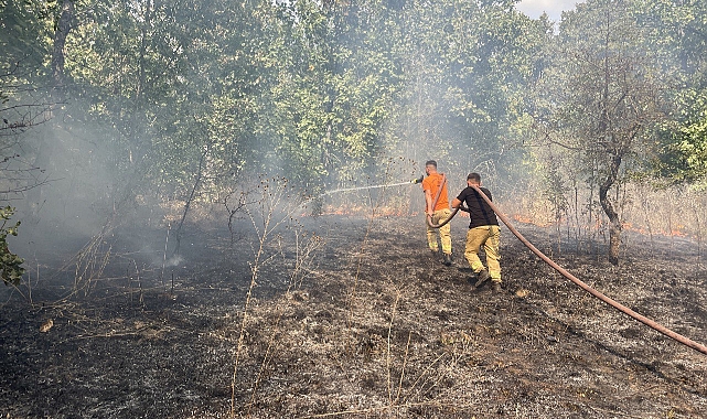 Sınır Hattında Ormanlık Alanda Yangın Çıktı