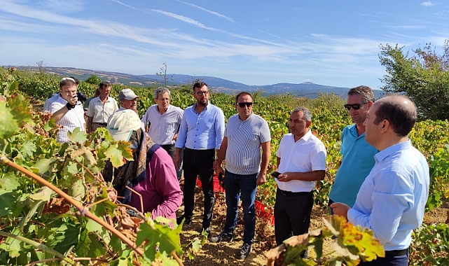 Tekirdağ Tarım ve Orman Müdürü Öcal Bağ Bozumuna Katıldı