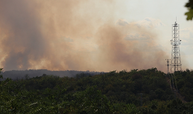 Türkiye-Bulgaristan Sınırında Çıkan Orman Yangını Nedeniyle Edirne&#039;de Önlem Alındı