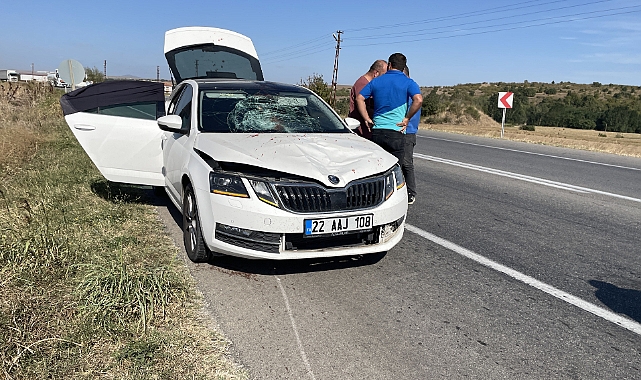 Yolun Karşısına Geçmek İsterken Hayatından Oldu