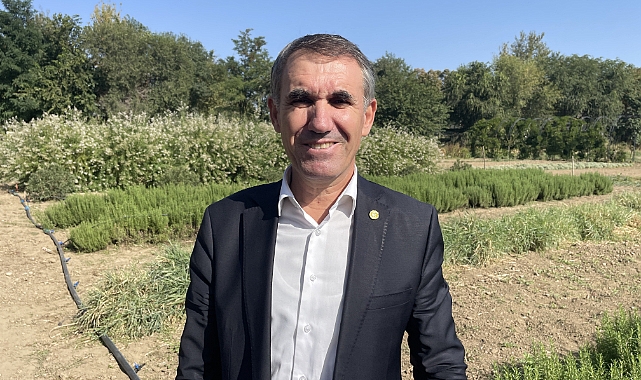 Kurak ve Sıcak Hava Ayçiçeğinde Hem Verimi Hem Kaliteyi Düşürdü