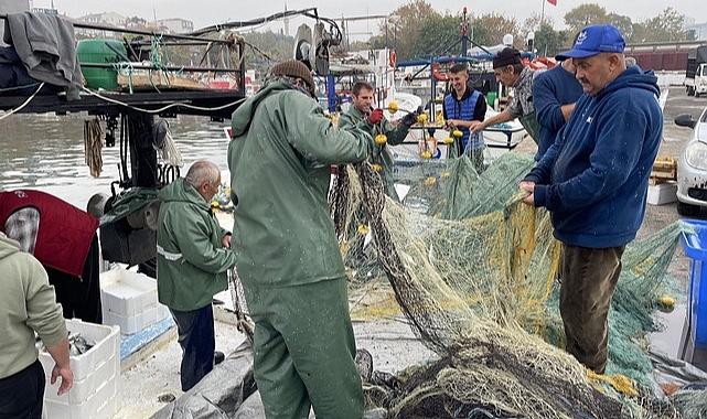 Marmara Denizi'nde Lüfer Bolluğu Yaşanıyor