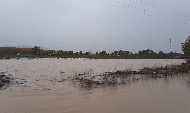 Çanakkale'de Dere Taştı, Çilek Bahçeleri Su Altında Kaldı