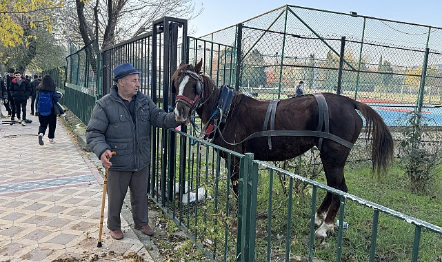 Sahibinin Elinden Kaçan At 5 Araca Zarar Verdi
