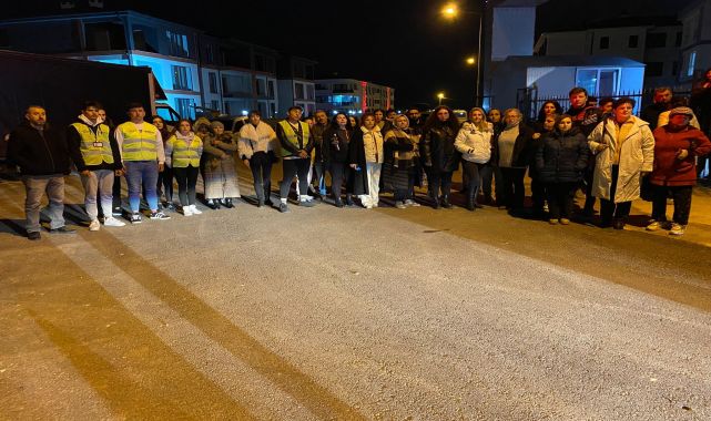 6 yavru kedi başları kesilerek öldürüldü