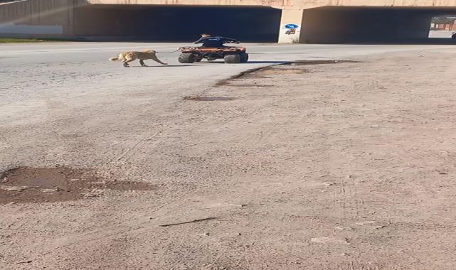 ATV'sine bağladığı köpeğini sürükledi; o anlar kamerada