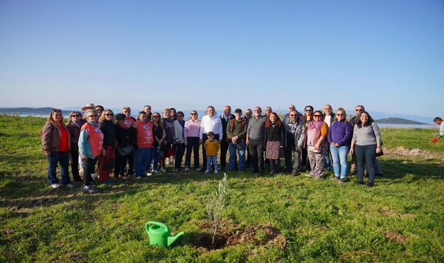 Ayvalık'ta 'Zeytin Hatıra Fidanlığı' kuruldu