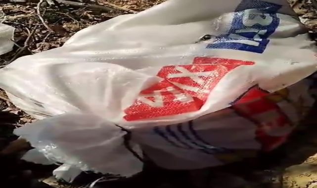 Barınak önüne bırakılan ağızları bağlı çuvallarda yavru köpekler bulundu