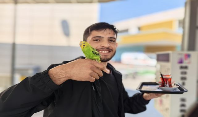 Çalıştığı kantinde, muhabbet kuşuyla servis yapıyor