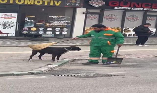 Sokak köpeğini süpürgesi ile kaşıyıp sevdi; temizlik personelinin o anları kamerada