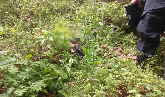 312 gündür haber alınamayan Korhan Berzeg'in kimlik ve kredi kartı ile kemik parçaları bulundu