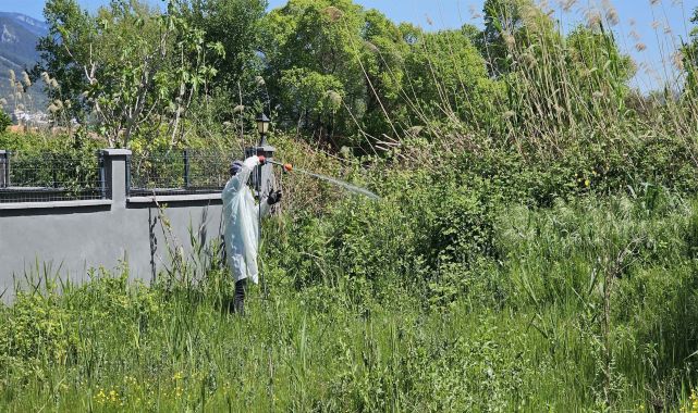 Balıkesir'de haşereyle havadan ve karadan mücadele