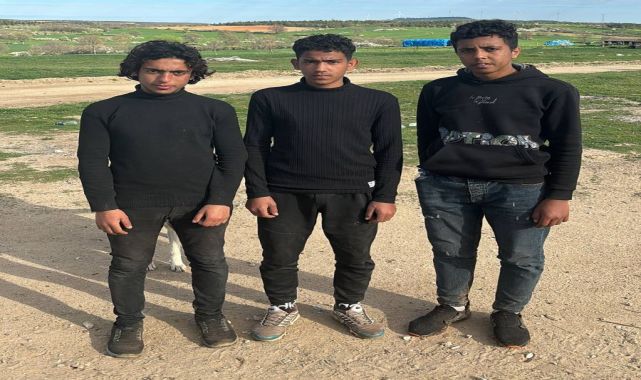 Edirne’de 3 kaçak göçmen yakalandı