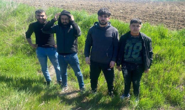 Edirne'de 4 kaçak göçmen yakalandı