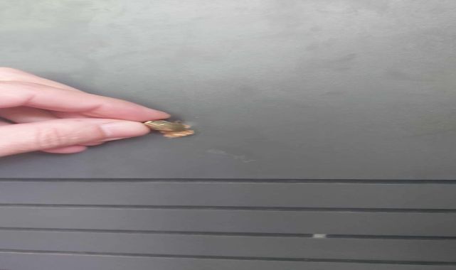 Evinin kapısına mermi isabet etti