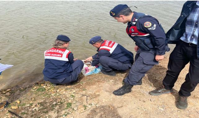 Kaçak avlanan sazan balıkları doğal yaşama bırakıldı