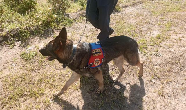 Kaybolduktan 316 gün sonra öldüğü kesinleşti; kemikler Korhan Berzeg'e ait çıktı