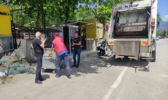 Konteynerde parçalara ayrılmış bedeni bulunan ayının başı ve derisi bahçede çıktı