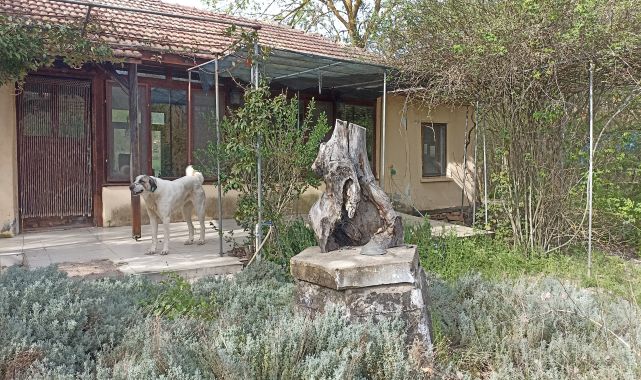Korhan Berzeg'den 300 gündür haber yok:  Umudumuz kalmadı, ailesi evi kapattı