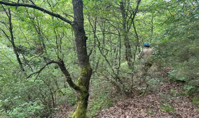 Korhan Berzeg'i arama çalışmaları 314'üncü günde sürdürülüyor; kemik parçaları toprağın altında da aranıyor