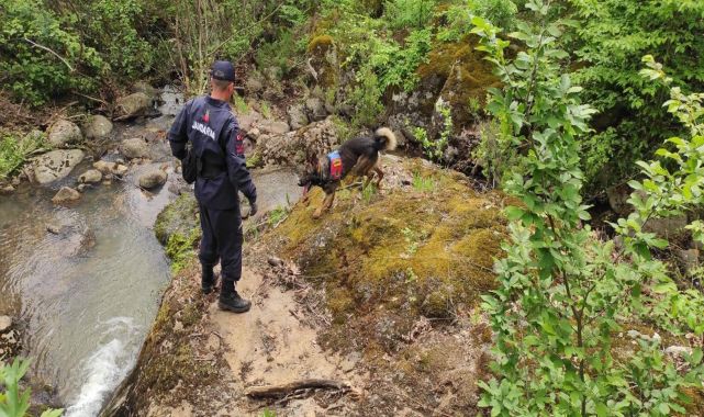 Korhan Berzeg'i arama çalışmalarında 1 kemik parçası daha bulundu