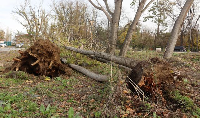 Marmara&#039;nın batısı için &#039;fırtına&#039; uyarısı