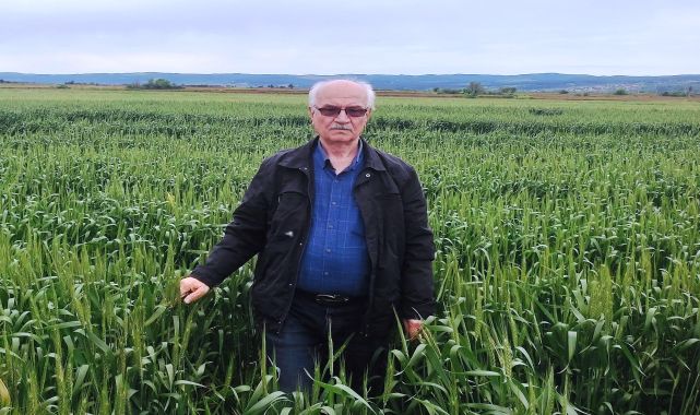 TAR-DER Başkan Yardımcısı Açar: Trakya'da düşen son yağışlar faydalı oldu