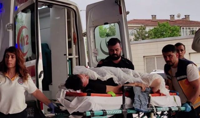 Üzüm asmasını kesen yeğenini tabancayla yaraladı