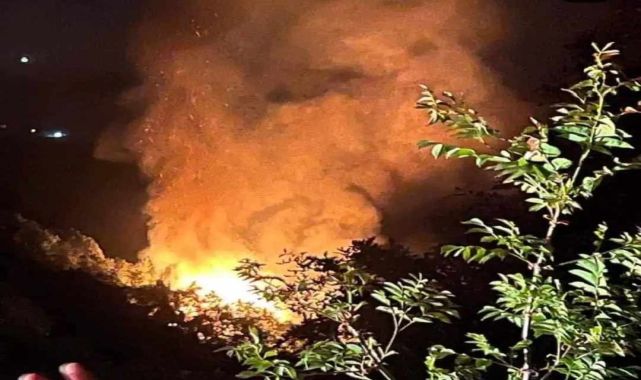 Yalova'da çıkan orman yangını 3 saatte söndüldü: 2 gözaltı