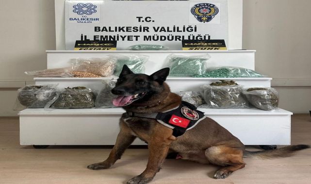 Yolcu otobüsündeki 20 kilo uyuşturucuyu 'Yaşa' buldu