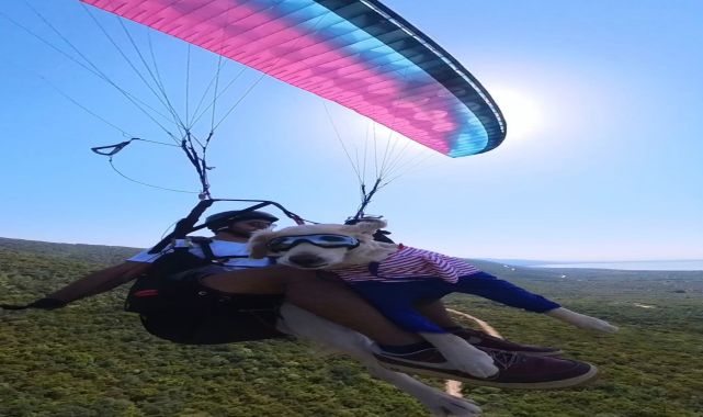 4 yıldır sahiplendiği &#039;Badem&#039; adlı köpeğiyle uçuyor