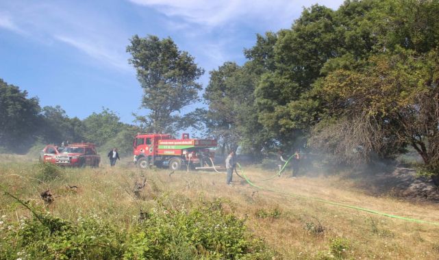 Çanakkale&#039;de tarım arazisinde yangın