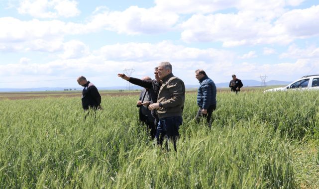Edirne'de 1500 dekar ekili alan doludan zarar gördü