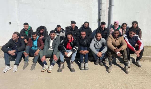Edirne'de 17 kaçak göçmen yakalandı